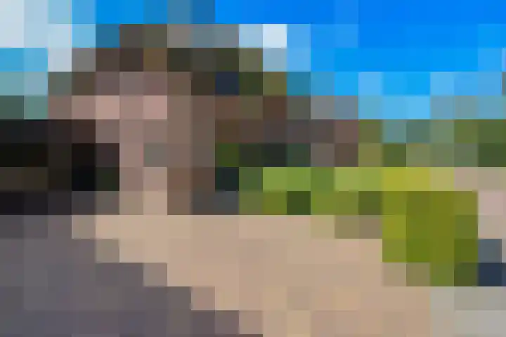 Krachtveld 21 Almere thumbnail 43