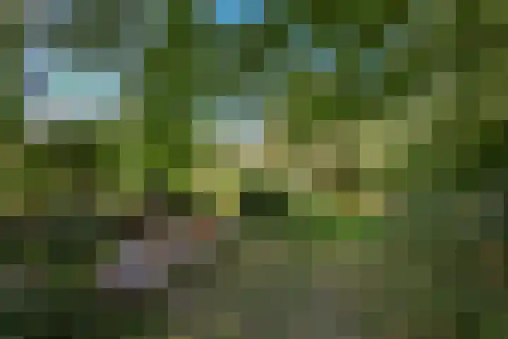 Krachtveld 21 Almere thumbnail 47
