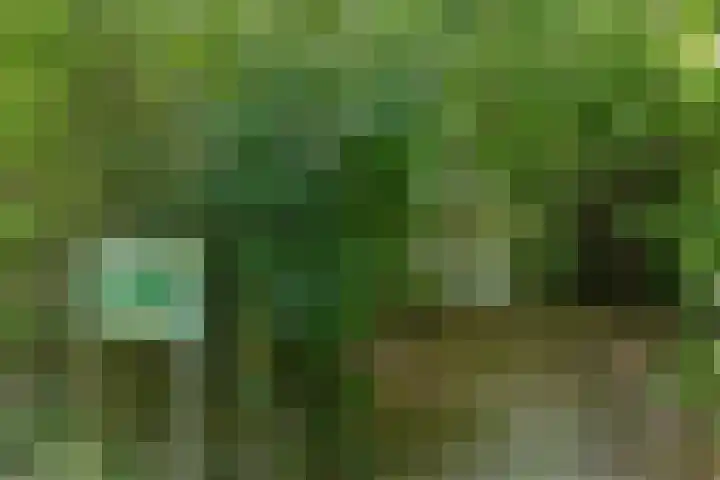 Krachtveld 21 Almere thumbnail 48