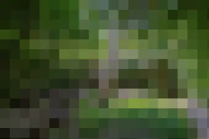 Krachtveld 21 Almere thumbnail 49