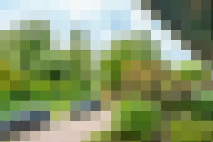 Krachtveld 25 Almere thumbnail 20