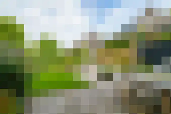 Krachtveld 25 Almere thumbnail 31
