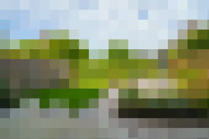 Krachtveld 25 Almere thumbnail 32