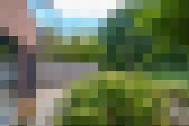 Krachtveld 25 Almere thumbnail 40