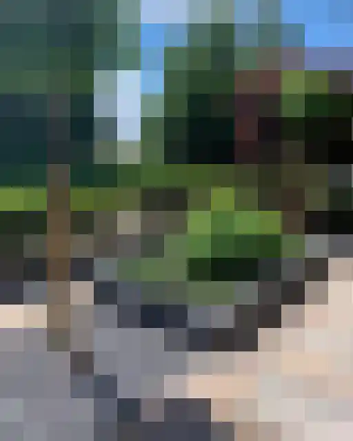Krachtveld 25 Almere thumbnail 41