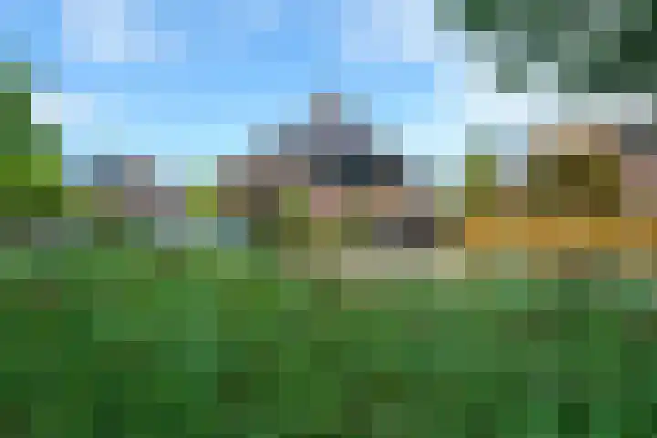 Krachtveld 25 Almere thumbnail 44