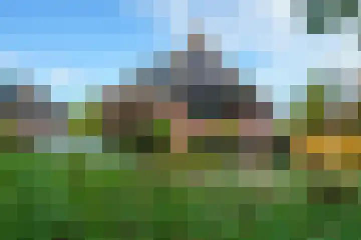 Krachtveld 25 Almere thumbnail 45