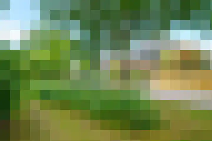 Krachtveld 25 Almere thumbnail 46