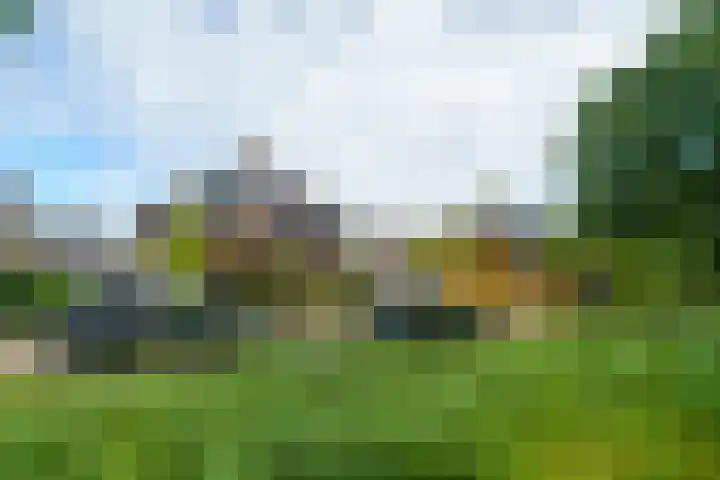 Krachtveld 25 Almere thumbnail 47