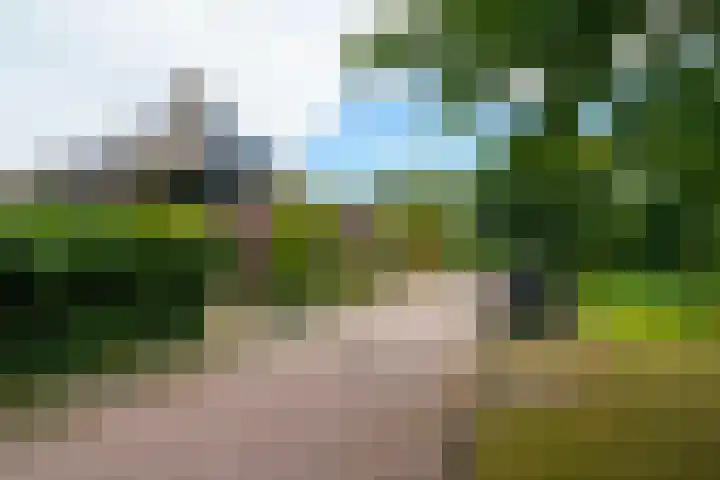 Krachtveld 25 Almere thumbnail 48