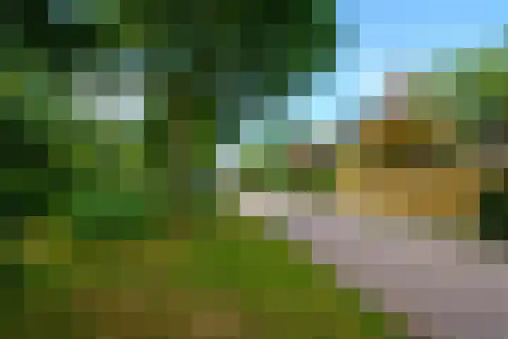 Krachtveld 25 Almere thumbnail 49
