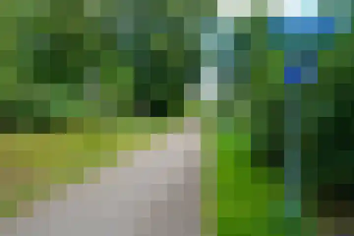 Krachtveld 25 Almere thumbnail 50