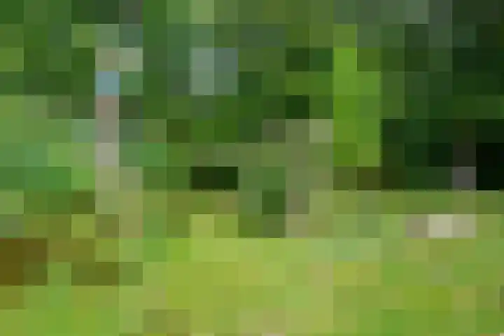 Krachtveld 25 Almere thumbnail 51
