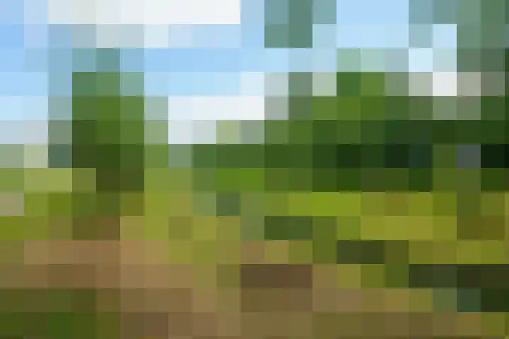 Krachtveld 25 Almere thumbnail 52
