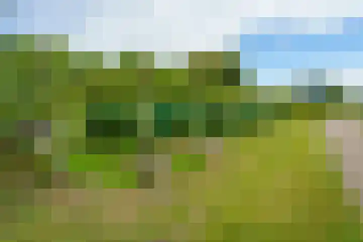 Krachtveld 25 Almere thumbnail 53