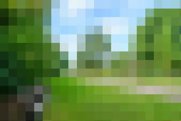 Krachtveld 25 Almere thumbnail 54