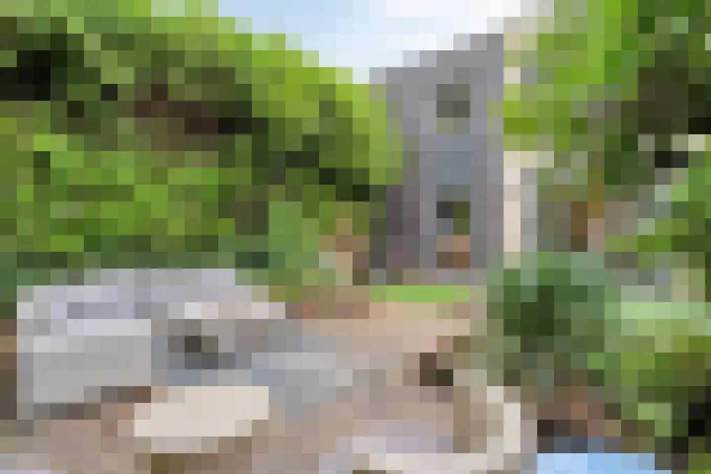 Krachtveld 54 Almere thumbnail 47