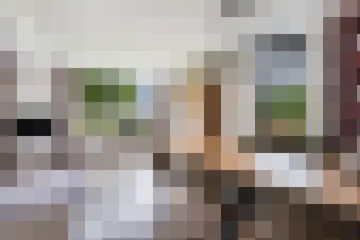 Kraenlânswei 16 a De Veenhoop thumbnail 15