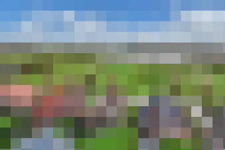 Kraenlânswei 16 a De Veenhoop foto 2