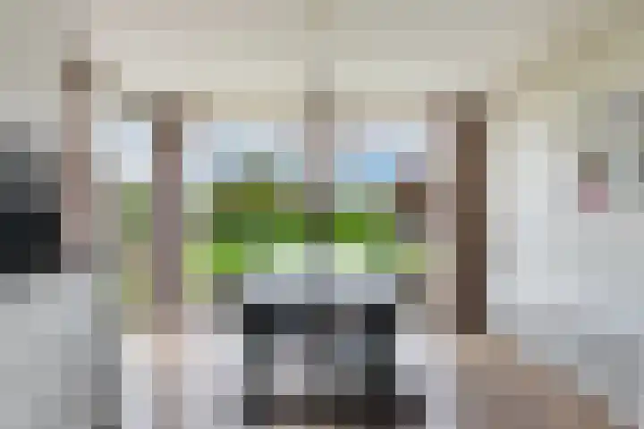 Kraenlânswei 16 a De Veenhoop thumbnail 28