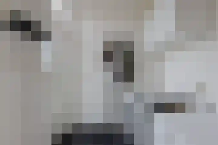 Kraenlânswei 16 a De Veenhoop thumbnail 29