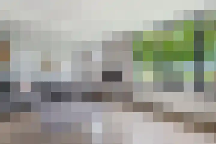 Kraenlânswei 16 a De Veenhoop thumbnail 4