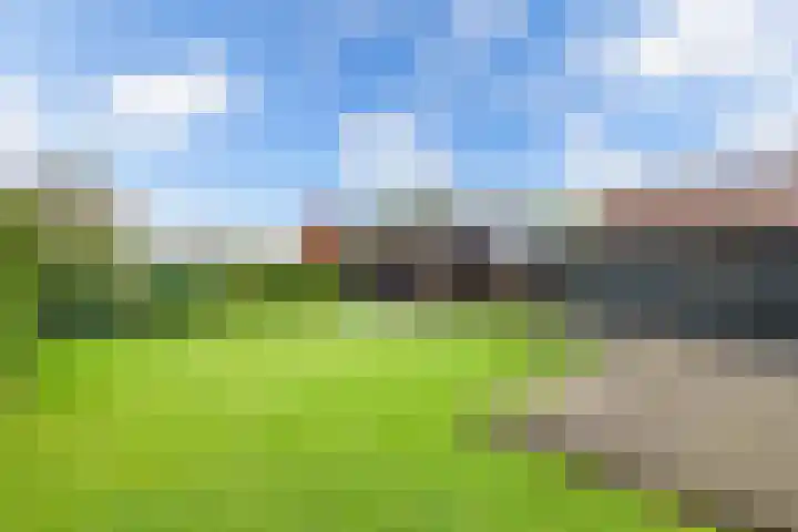 Kraenlânswei 16 a De Veenhoop thumbnail 47