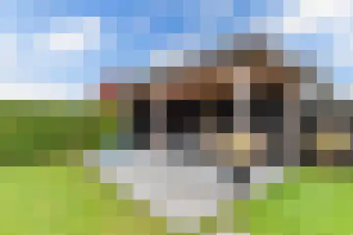 Kraenlânswei 16 a De Veenhoop thumbnail 50