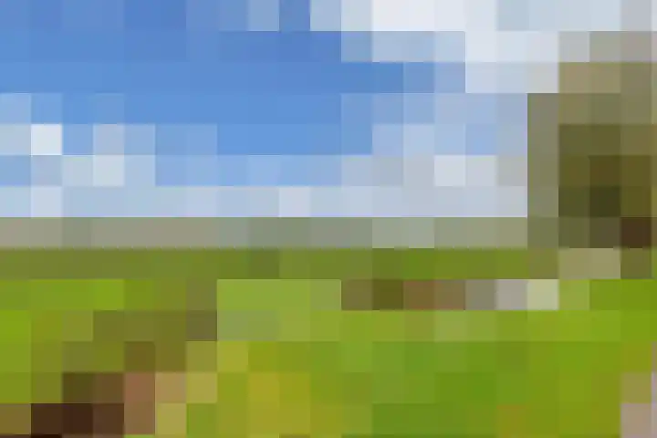 Kraenlânswei 16 a De Veenhoop thumbnail 52