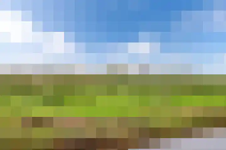 Kraenlânswei 16 a De Veenhoop thumbnail 53