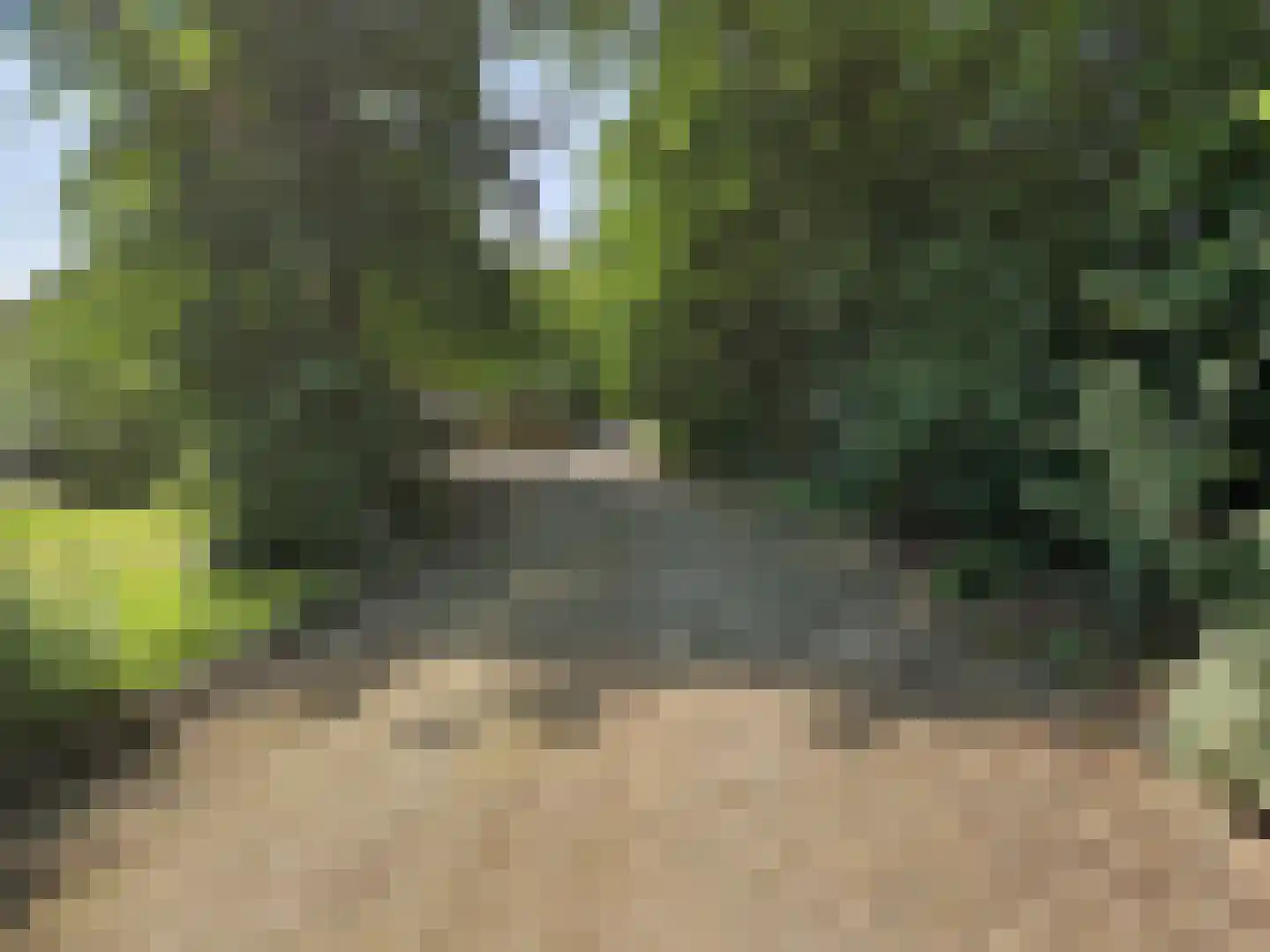 Kraggenburgerweg 6 Kraggenburg thumbnail 34