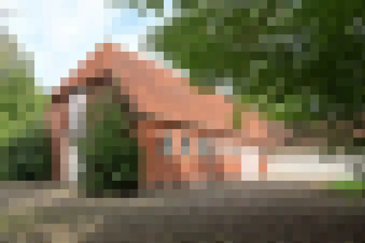 Kraggenburgerweg 6 Kraggenburg thumbnail 38