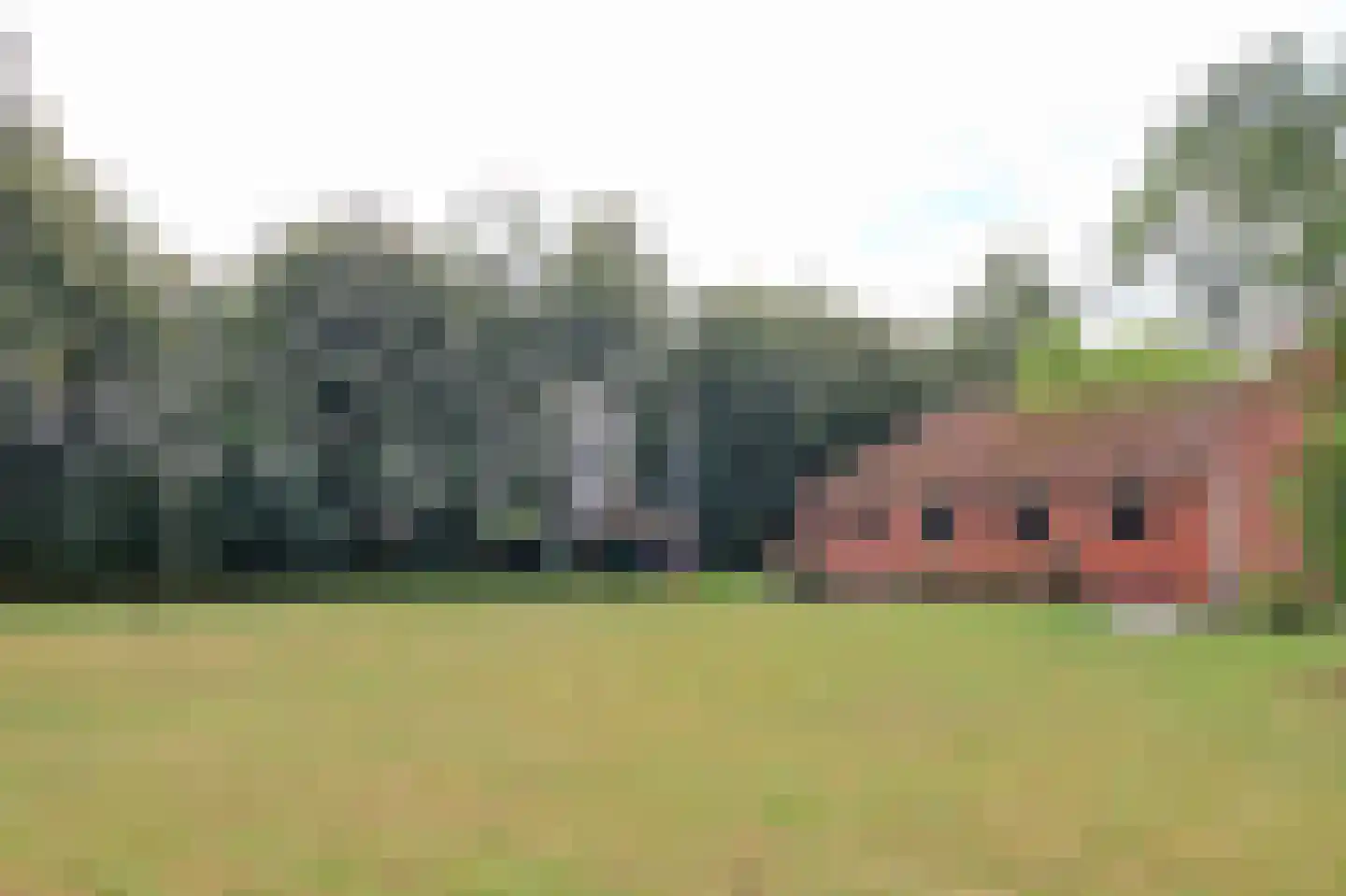 Kraggenburgerweg 6 Kraggenburg thumbnail 41