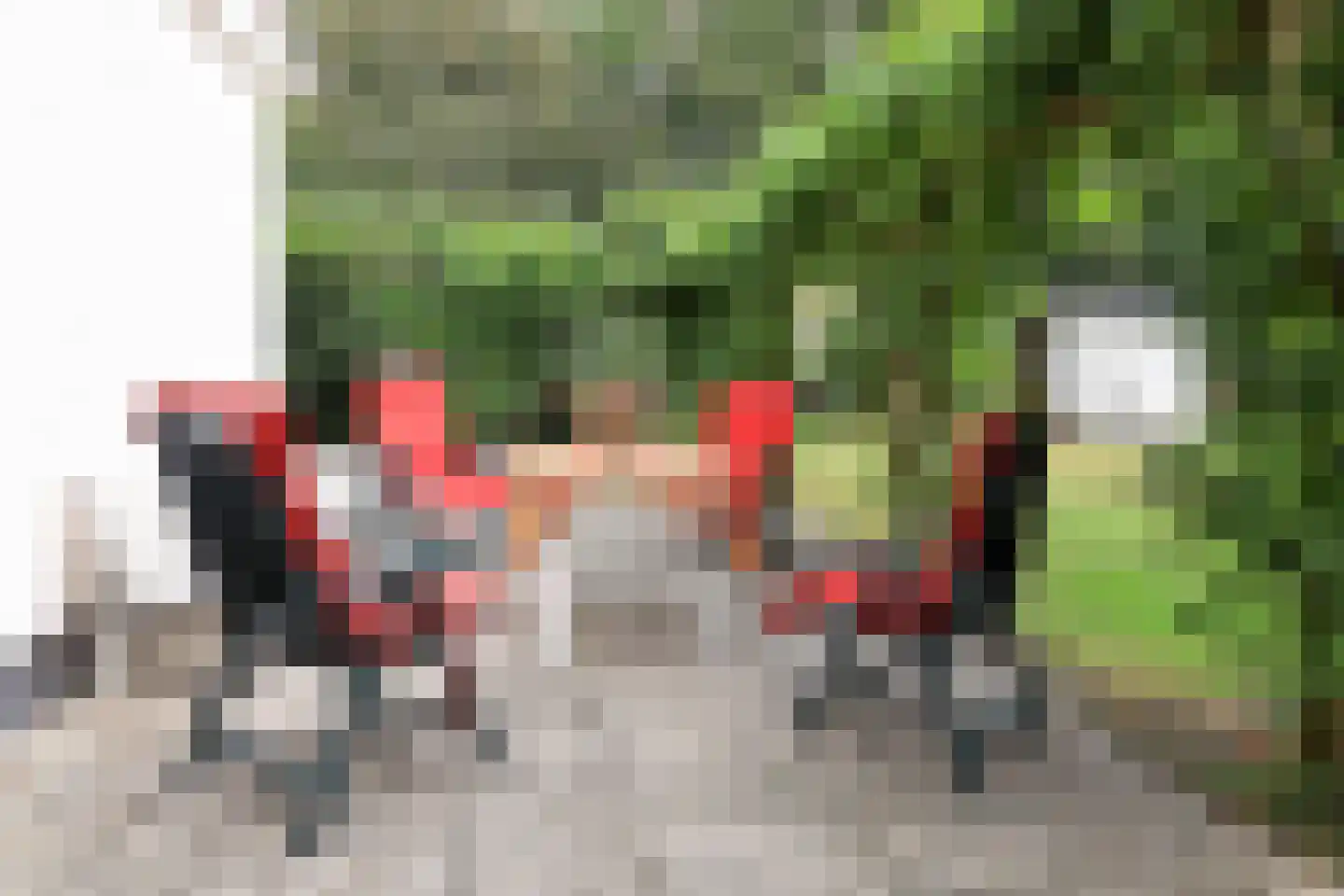 Kraggenburgerweg 6 Kraggenburg thumbnail 45