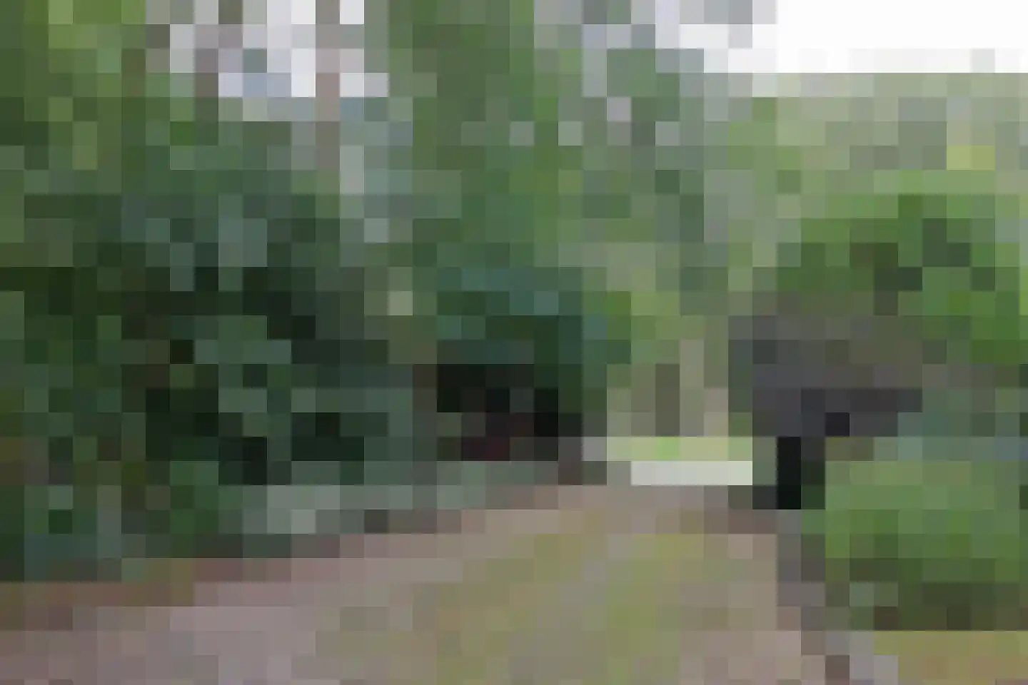 Kraggenburgerweg 6 Kraggenburg thumbnail 47