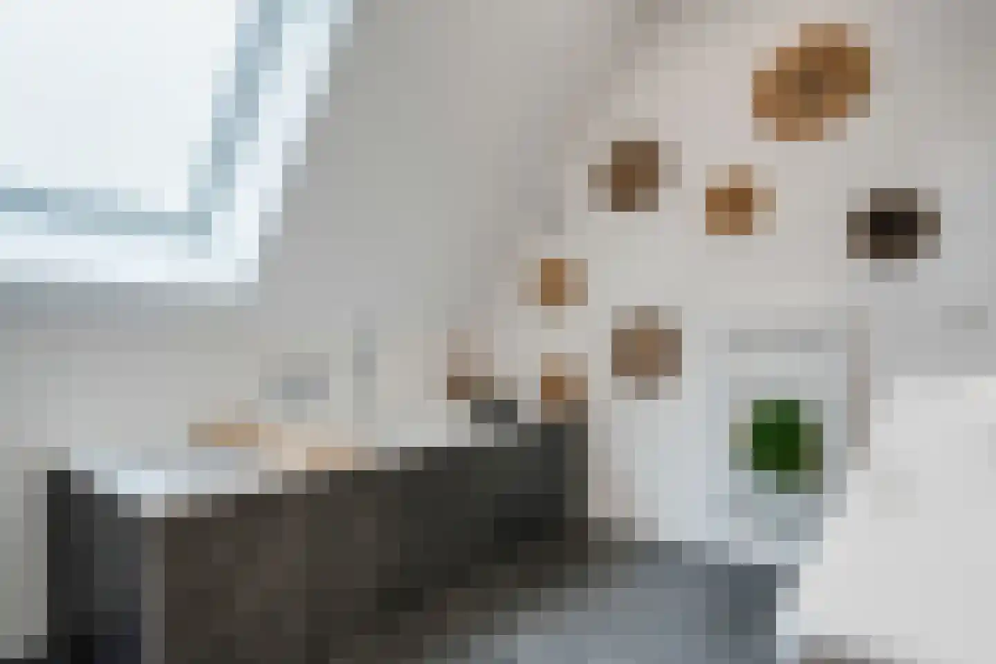 Kraggepad 17 Scheerwolde thumbnail 32
