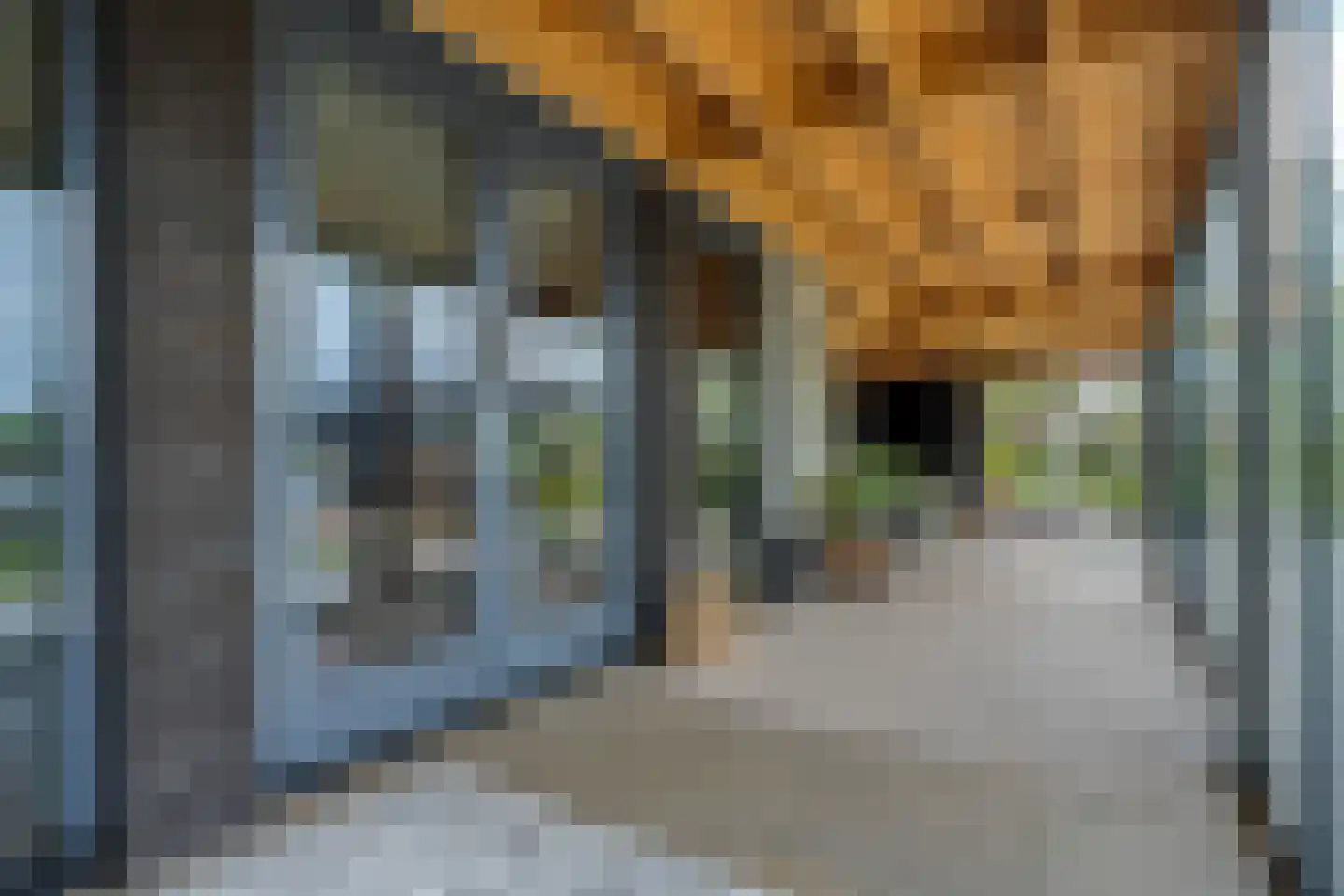 Kraggepad 17 Scheerwolde thumbnail 43