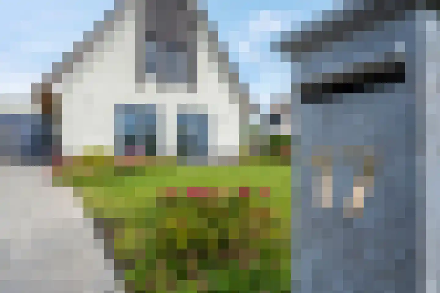 Kraggepad 17 Scheerwolde thumbnail 61