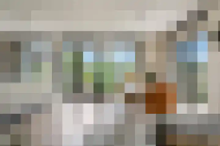 Kraggepad 25 Scheerwolde thumbnail 10