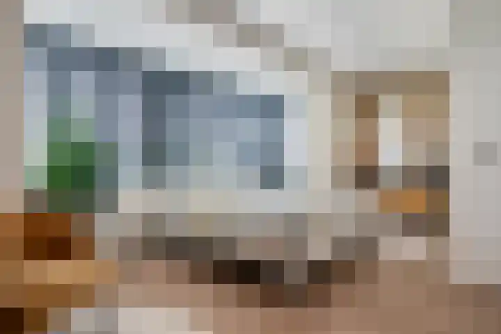 Kraggepad 25 Scheerwolde thumbnail 18