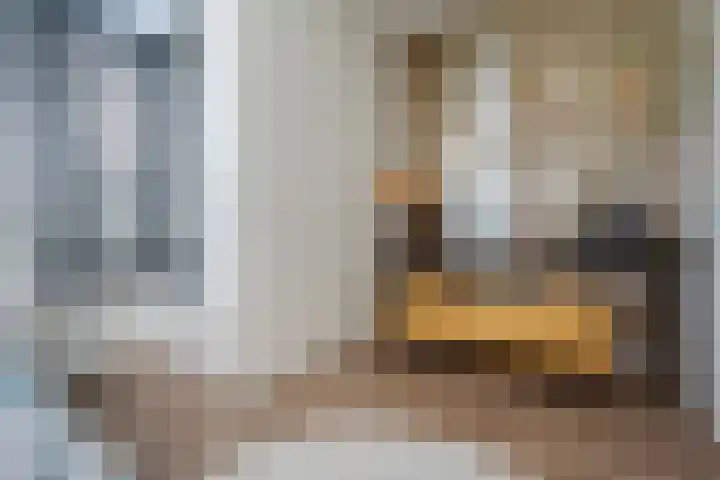 Kraggepad 25 Scheerwolde thumbnail 19