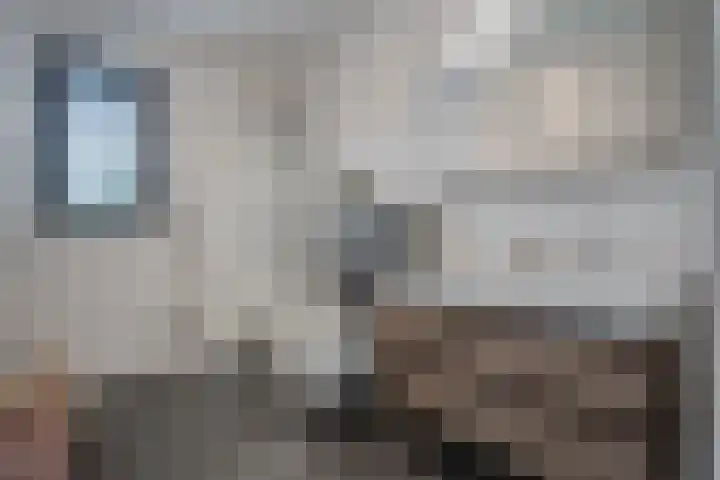 Kraggepad 25 Scheerwolde thumbnail 22