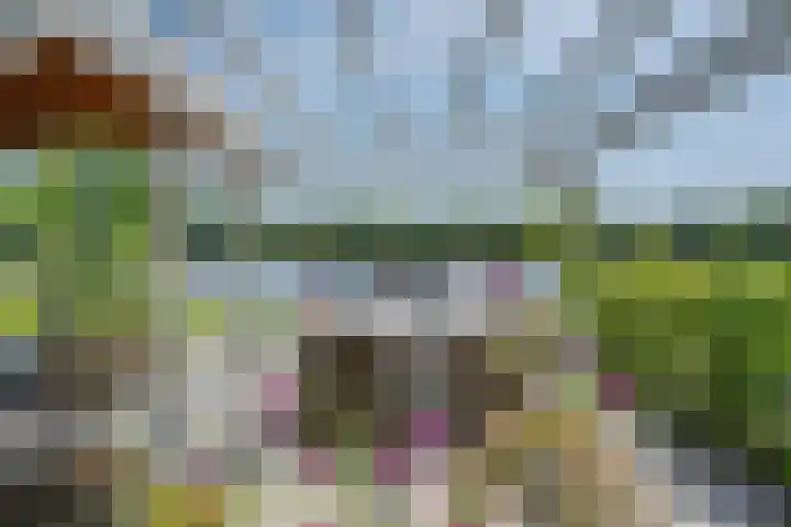 Kraggepad 25 Scheerwolde thumbnail 37