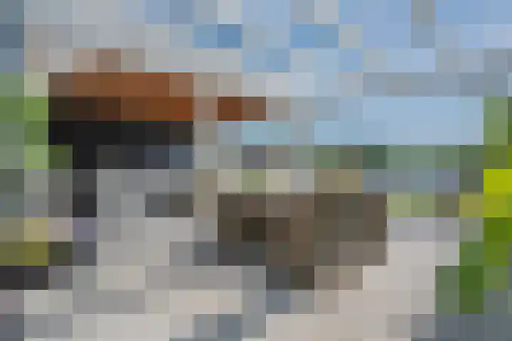 Kraggepad 25 Scheerwolde thumbnail 38