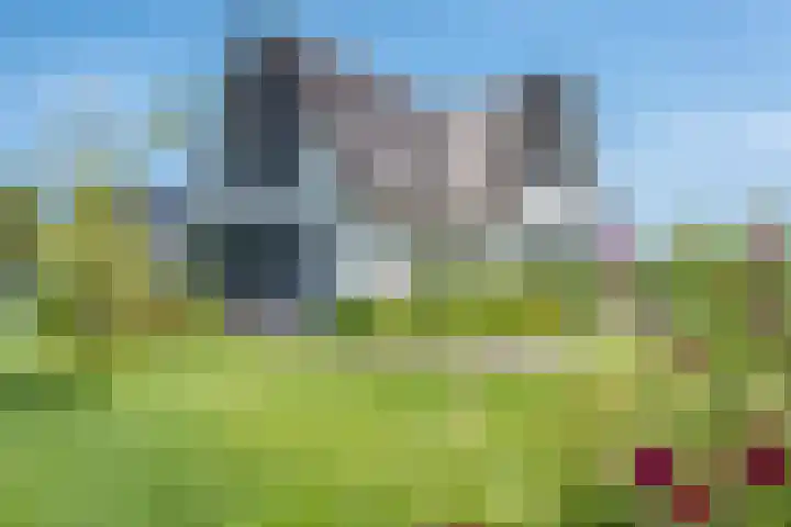Kraggepad 25 Scheerwolde thumbnail 41