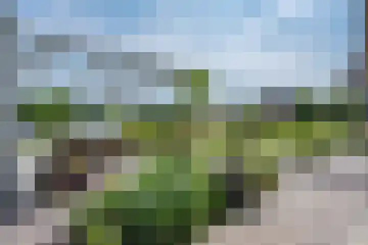 Kraggepad 25 Scheerwolde thumbnail 43