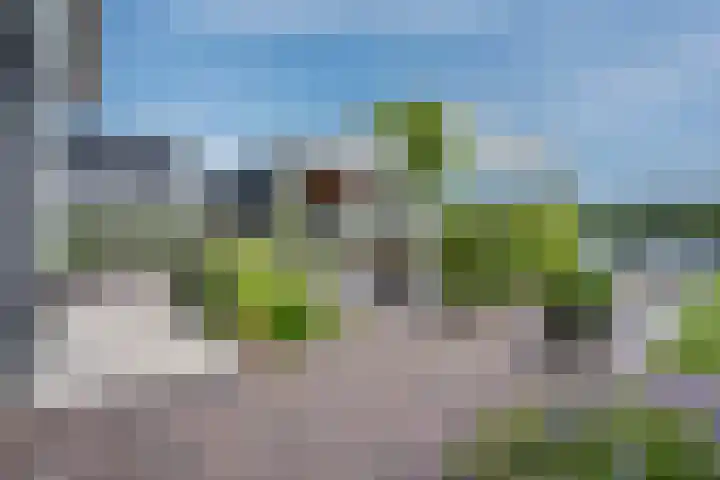 Kraggepad 25 Scheerwolde thumbnail 44