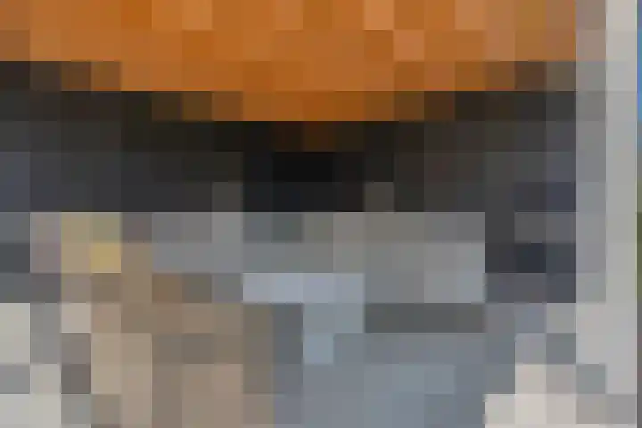 Kraggepad 25 Scheerwolde thumbnail 45
