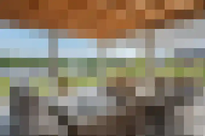 Kraggepad 25 Scheerwolde thumbnail 46