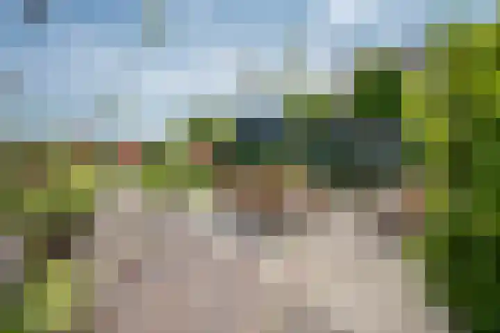 Kraggepad 25 Scheerwolde thumbnail 47